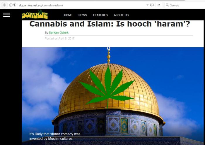Dopamine Feature on Cannabis and Islam